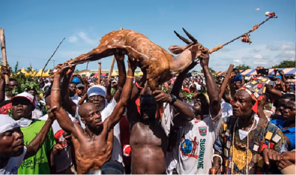 Group of men lifting a large antelope above their heads during a lively outdoor event under a clear blue sky.
