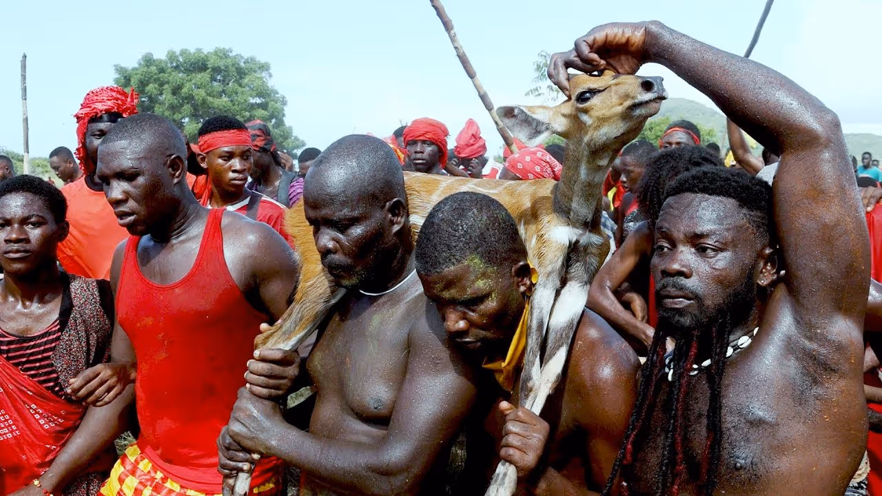 Group of men participating in a cultural festival, carrying a goat on their shoulders, surrounded by people dressed in red attire.